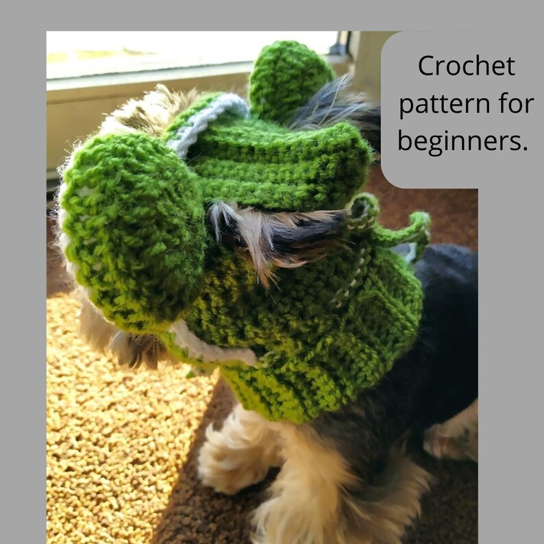May include: A small dog wearing a green crocheted hat and sweater. The hat has large ears and the sweater has a white trim. Crochet pattern for beginners.