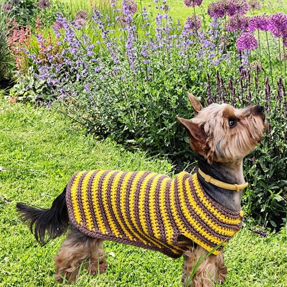 Dog Clothes for Small Dogs: Stylish & Cozy Outfit Ideas