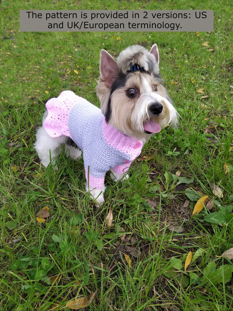 Dog Dress Pattern, Small Dog Clothes Girl, Crochet Pattern for Dog