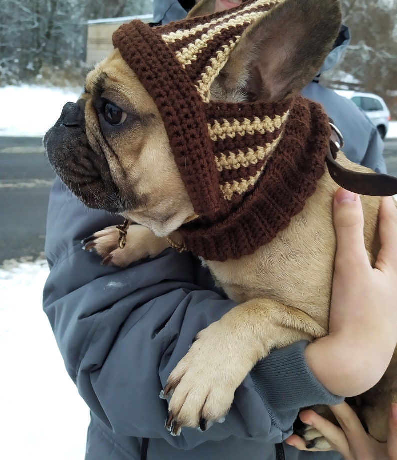 Сrochet hat pattern for French Bulldog, Crochet dog hat pattern, Dog hat pattern, Hat for pet with Ear Holes, Beginner crochet pattern. image 3
