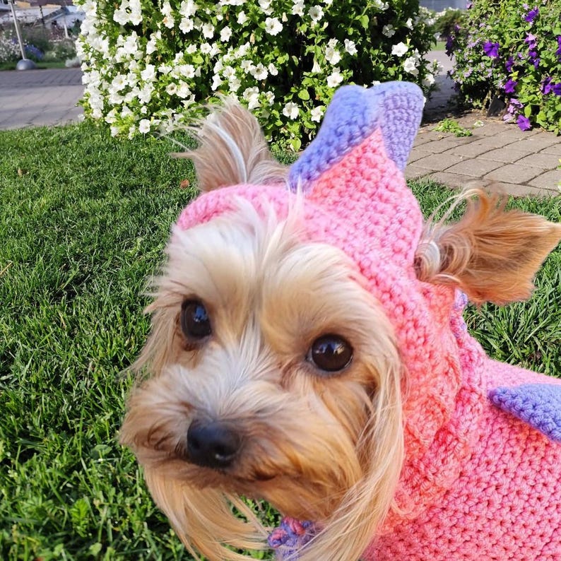 May include: A small, brown and white dog wearing a pink and purple crocheted costume. The dog is looking at the camera with a curious expression.