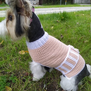 Crochet dog sweater pattern, Cat clothes pattern, Crochet cat sweater pattern, Small to medium sized, Fast and easy beginner sweater.