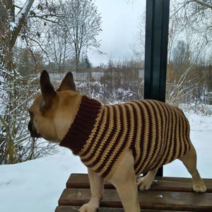 Hundepullover Häkelanleitung, Französische Bulldogge Kleidung, Häkelanleitung, Hundepullover gehäkelt, großer Hundepullover, Hundejacke für den Winter