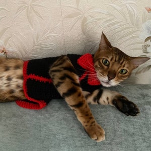 May include: A brown tabby cat wearing a black and red knitted sweater with a red bow tie.