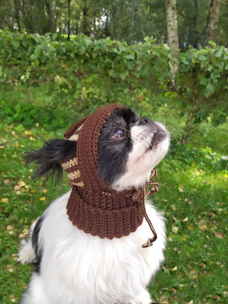 Сrochet hat pattern for French Bulldog, Crochet dog hat pattern, Dog hat pattern, Hat for pet with Ear Holes, Beginner crochet pattern. image 9