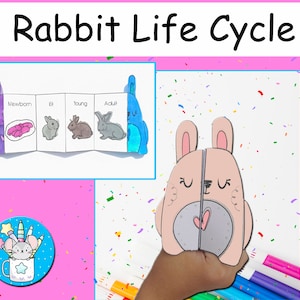 Ciclo di vita di un coniglio / Unità scientifica Tutto sui conigli / Lavoretto pieghevole per bambini / Attività pasquale / Lavoretto di una pagina / Stampabili