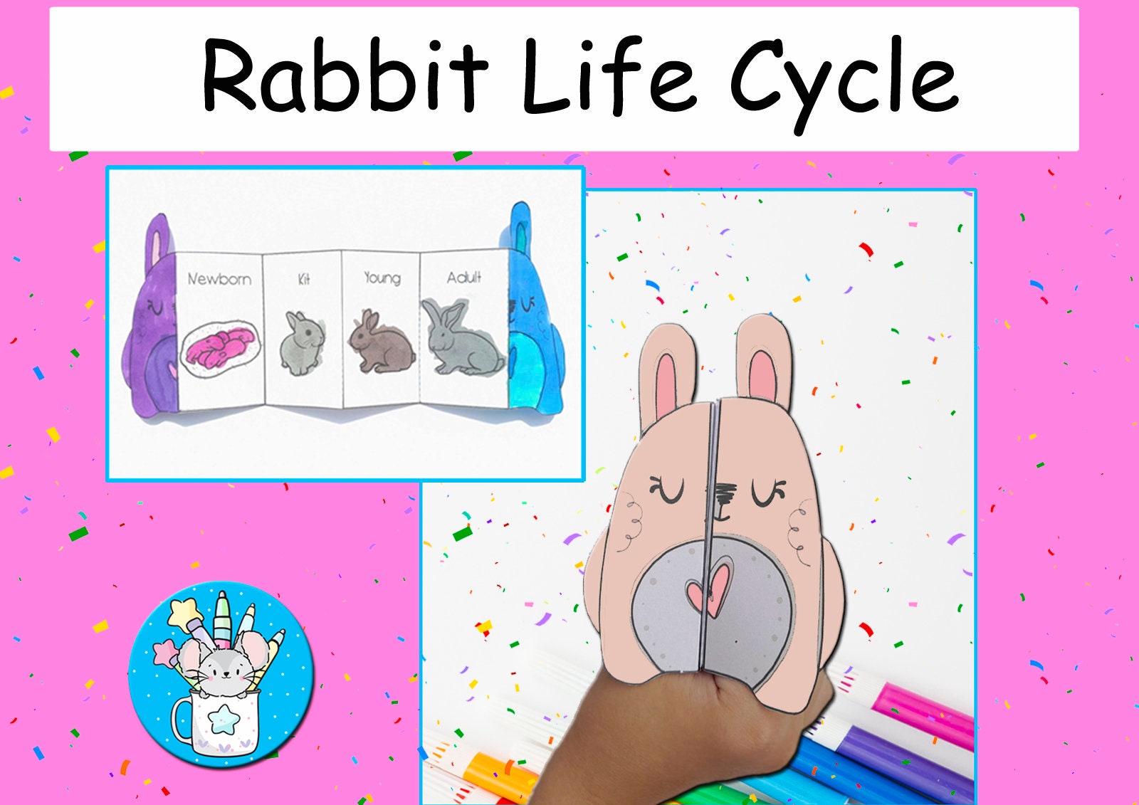 Life Cycle of a Rabbit All About Rabbits Science Unit Foldable Kids