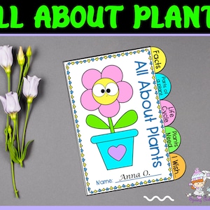 Life cycle of a Plant | Parts of a Plant | Plant Activity Unit | Montessori Plant, Preschool Science, Homeschool Printable, Digital Download