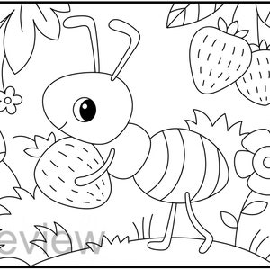 Bugs Coloring Pages | Insects Printable Coloring Sheets | Spring ...