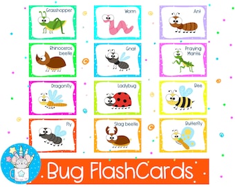 Bugs Printable Flash Cards | Insects Instant Download FlashCards | PDF File | Spring Activities for Kids