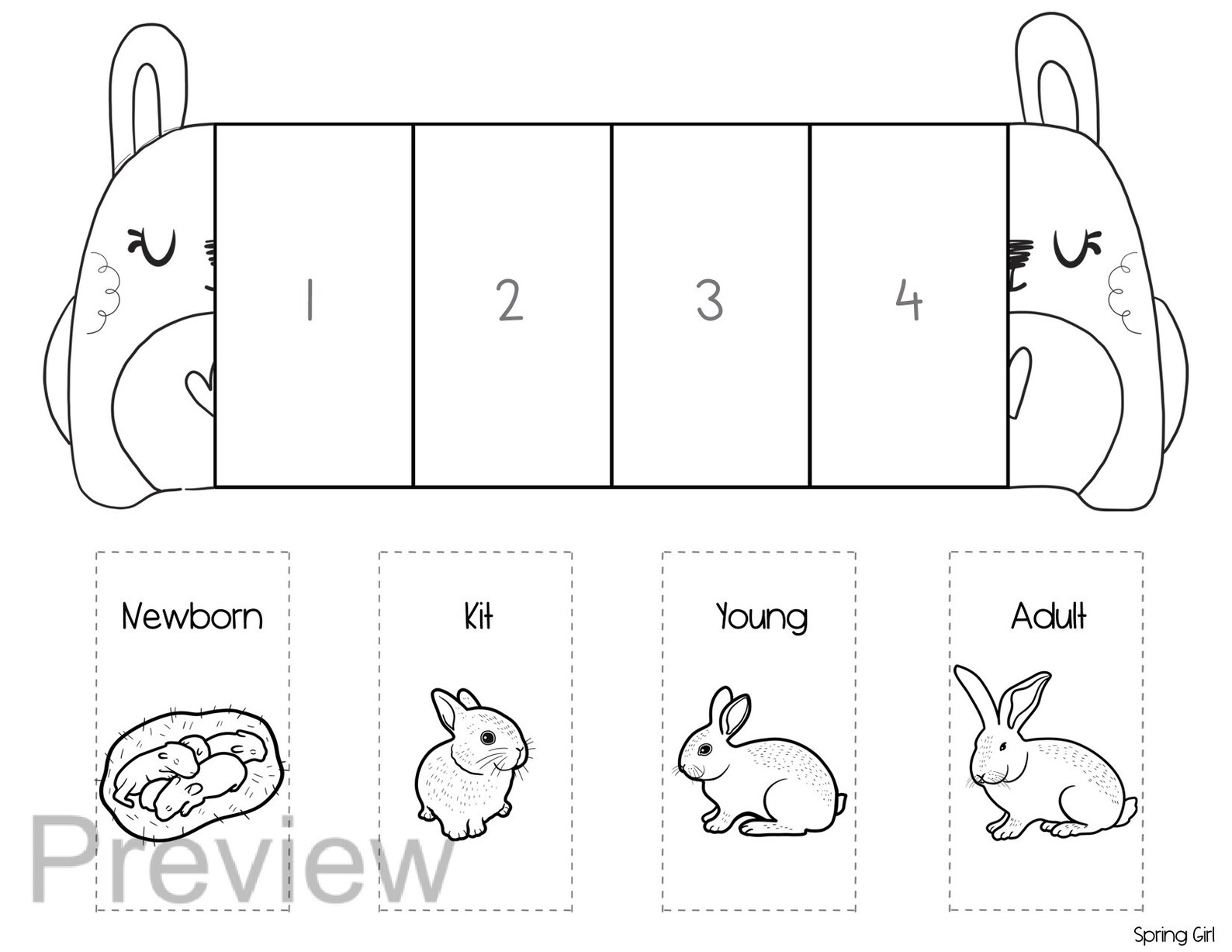 Life Cycle of a Rabbit All About Rabbits Science Unit Foldable Kids' Craft Easter Activity One