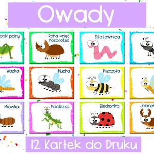 Polish Bugs Flash Cards | Owady po-polsku | Polish Insects Printable | Polish Worksheets for kids | Do druku | Printables