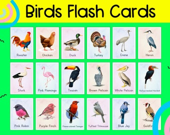 Birds Flash Cards Printable • Montessori Cards • Nomenclature Cards • Nature Study Printable • Educational Material • Montessori Materials