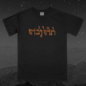 Godspeed You! Black Emperor (Slow Riot for New Zerø Kanada) T-shirt, Post Rock Band, Band Merch, Post Rock T-Shirt, GY!BE Merch, Band Merch