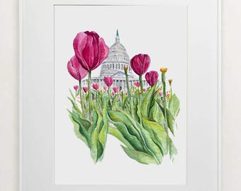 May include: Watercolor painting of the U.S. Capitol building with a foreground of vibrant pink tulips and green foliage. The artwork is framed in a white border, creating a clean and elegant presentation.