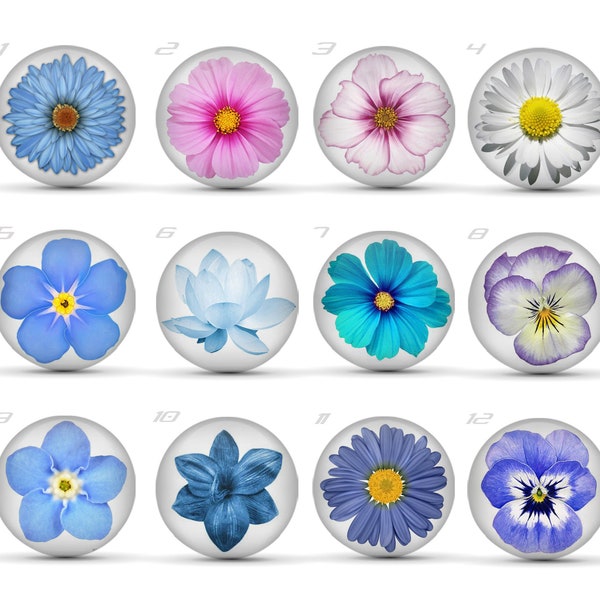 Handgefertigtes Foto Rund Glas Cabochon Vergiss mich nicht Floral 6mm-30mm 121