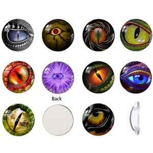 May include: A selection of twelve circular glass cabochons displaying diverse eye designs. The eyes exhibit a spectrum of colours, such as blue, green, red, and yellow, with detailed patterns. One cabochon is labelled "Back".