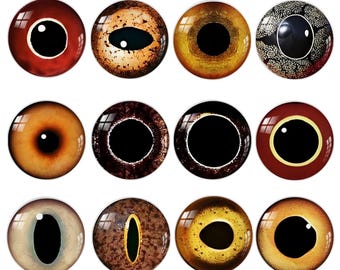 Cabujones de vidrio con forma de ojo de dragón, muñeca y animal para manualidades, bisutería, esculturas y adornos (A180)
