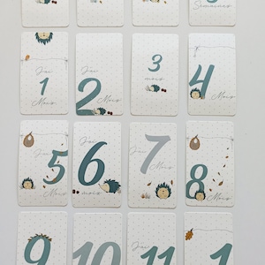 Cartes étapes bébé "HERISON " naissance - souvenirs bébé - première année - mes premières fois - cartes étapes garçon - cartes étapes