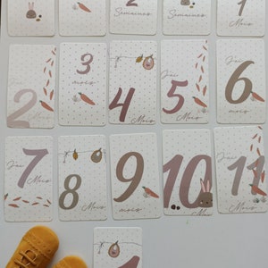 Cartes étapes bébé "LAPIN " naissance - souvenirs bébé - première année - mes premières fois - cartes étapes fille- cartes étapes