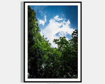 Nature Poster Download Landscape Pictures - Bedroom Poster Living Room Pictures - Modern Home Decoration & Wall Decoration - Office Decoration Art