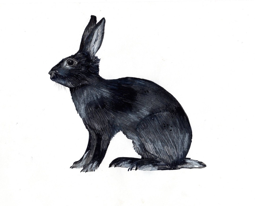 Hand Art Rabbit PRINT: Hand Drawn. Rabbit - Etsy