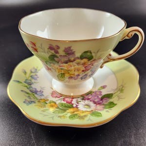 Vintage 1850 EB Foley green floral bone china teacup and saucer set, made in England, English bone china teacup and saucer set