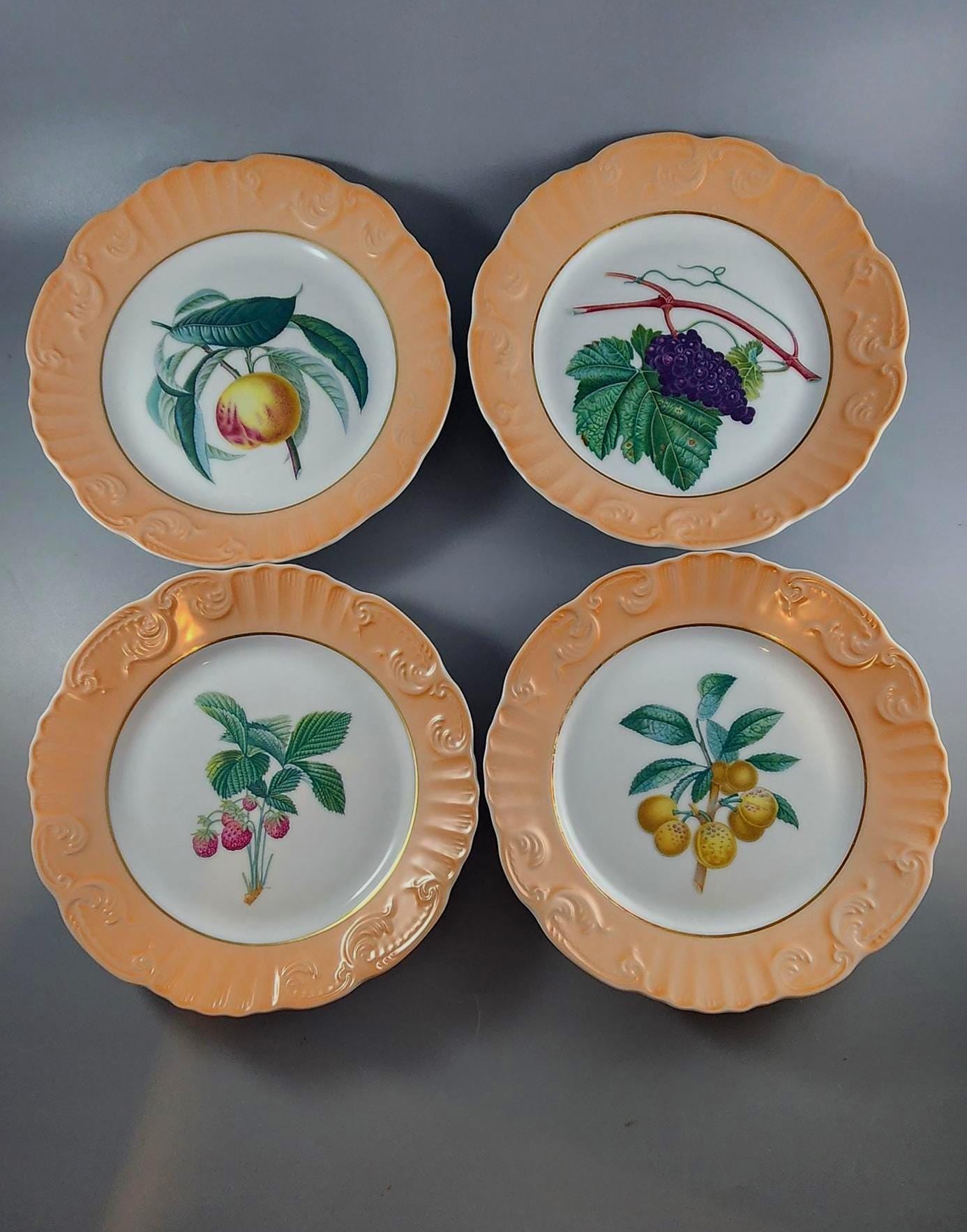 Vista Alegre Mottahedeh - Etsy