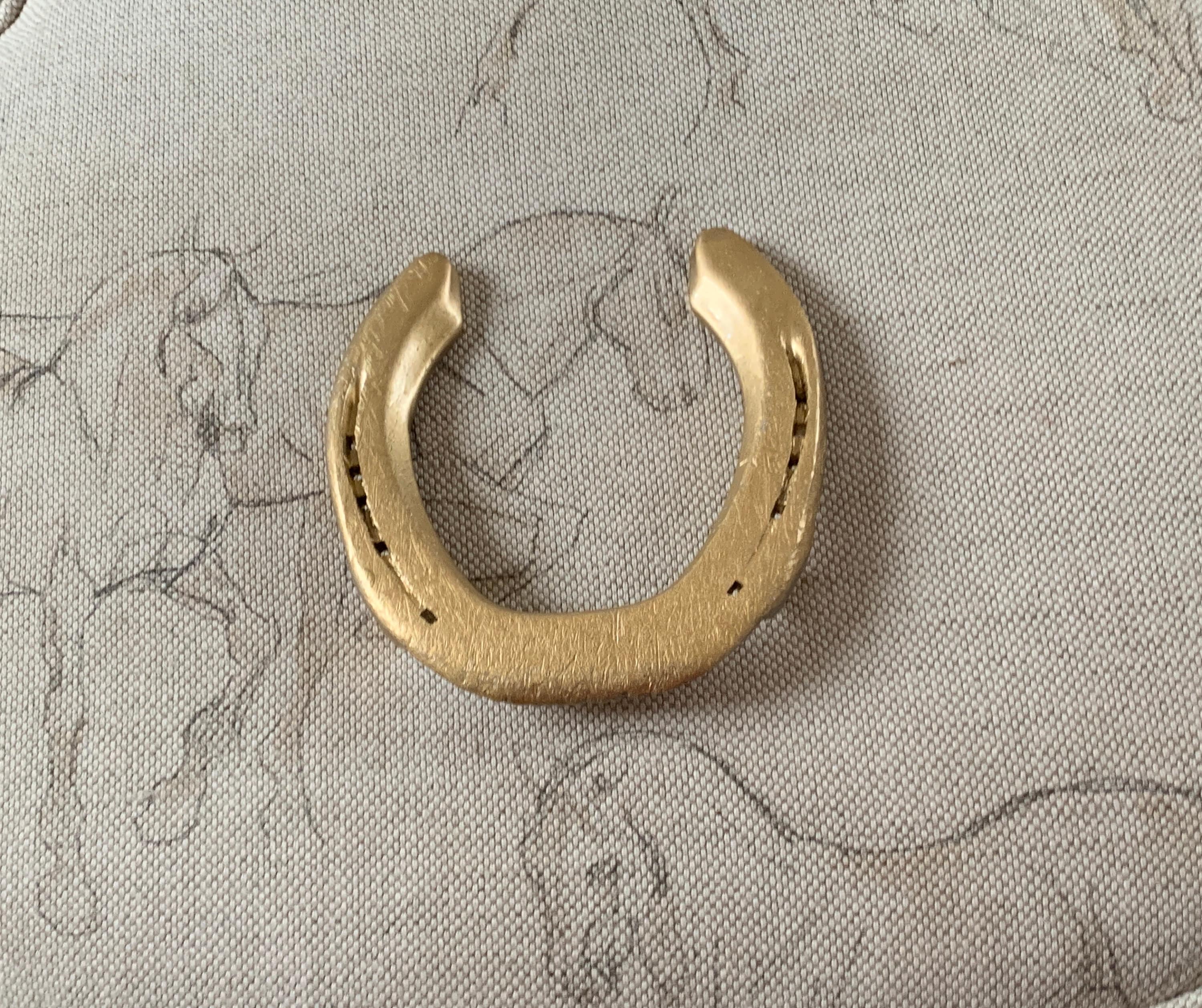 Golden horseshoe: A gift like a million bucks