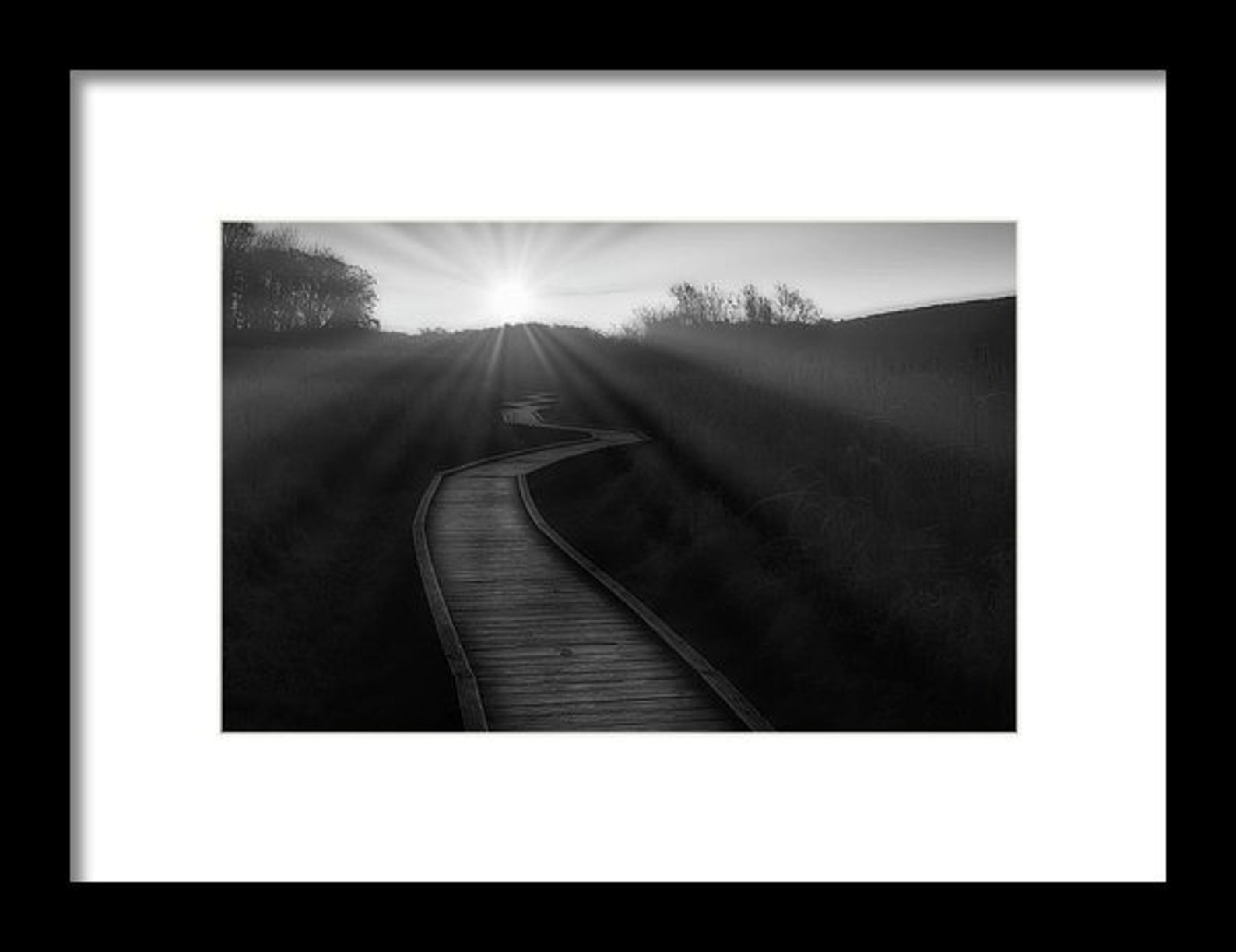 Nature Wall Art Black and White Forest Printable Poster Etsy UK