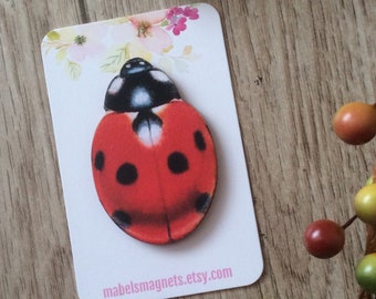 May include: A red and black ladybug magnet with black spots. The magnet is on a white card with pink flowers and the text "mabelsmagnets.etsy.com".