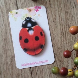 Ladybug Needle Keeper,Insect Pin Keeper,Ladybird Magnet,Ladybug Fridge Magnets,Ladybug Needle Keeper , Ladybug Needle Knack ,Ladybird gifts