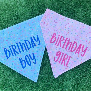 Birthday Dog Bandana - Birthday Boy - Birthday Girl - Dog Bandana - Over the Collar Bandana