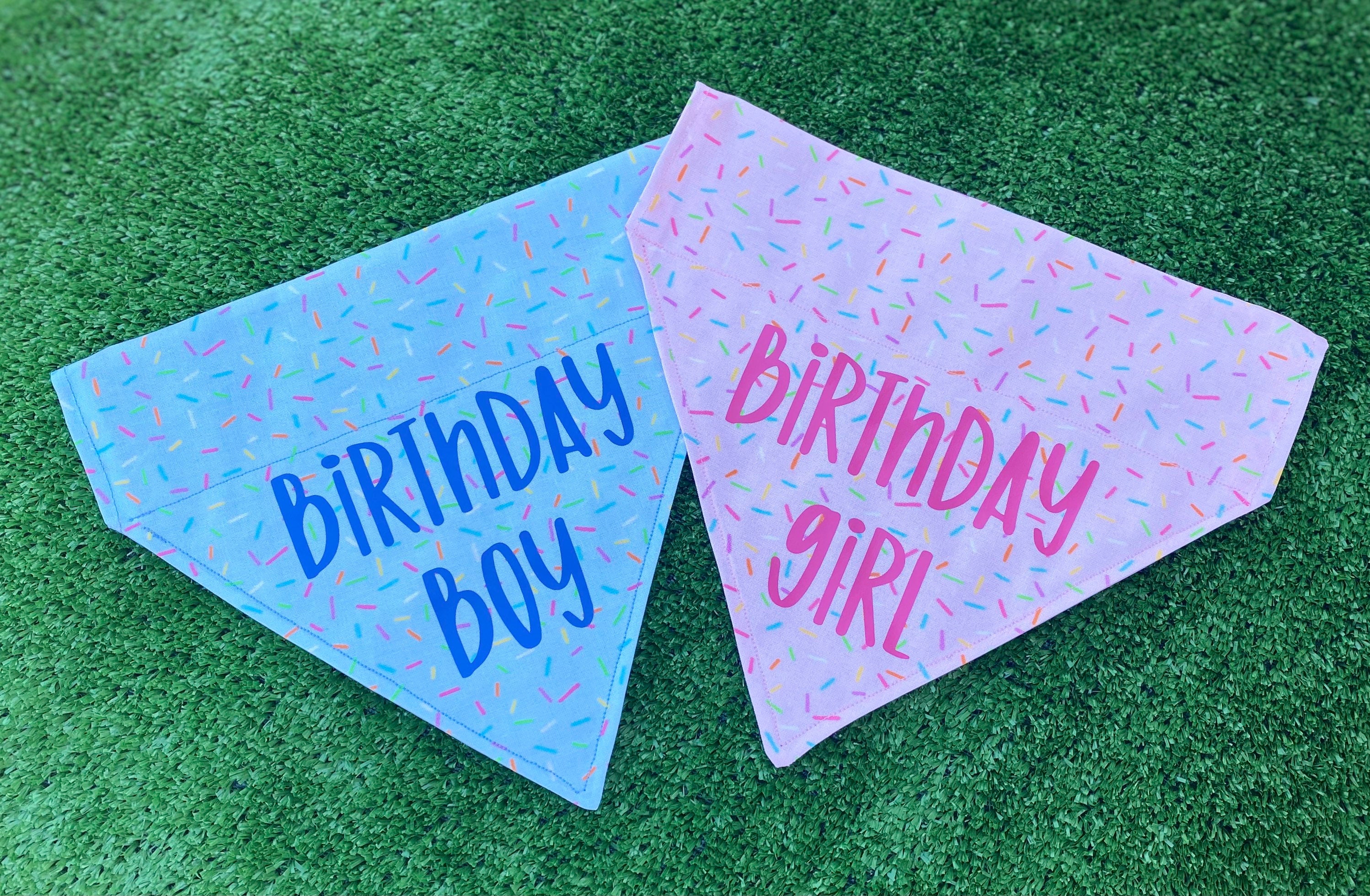Birthday Dog Bandana Birthday Boy Birthday Girl Dog Etsy