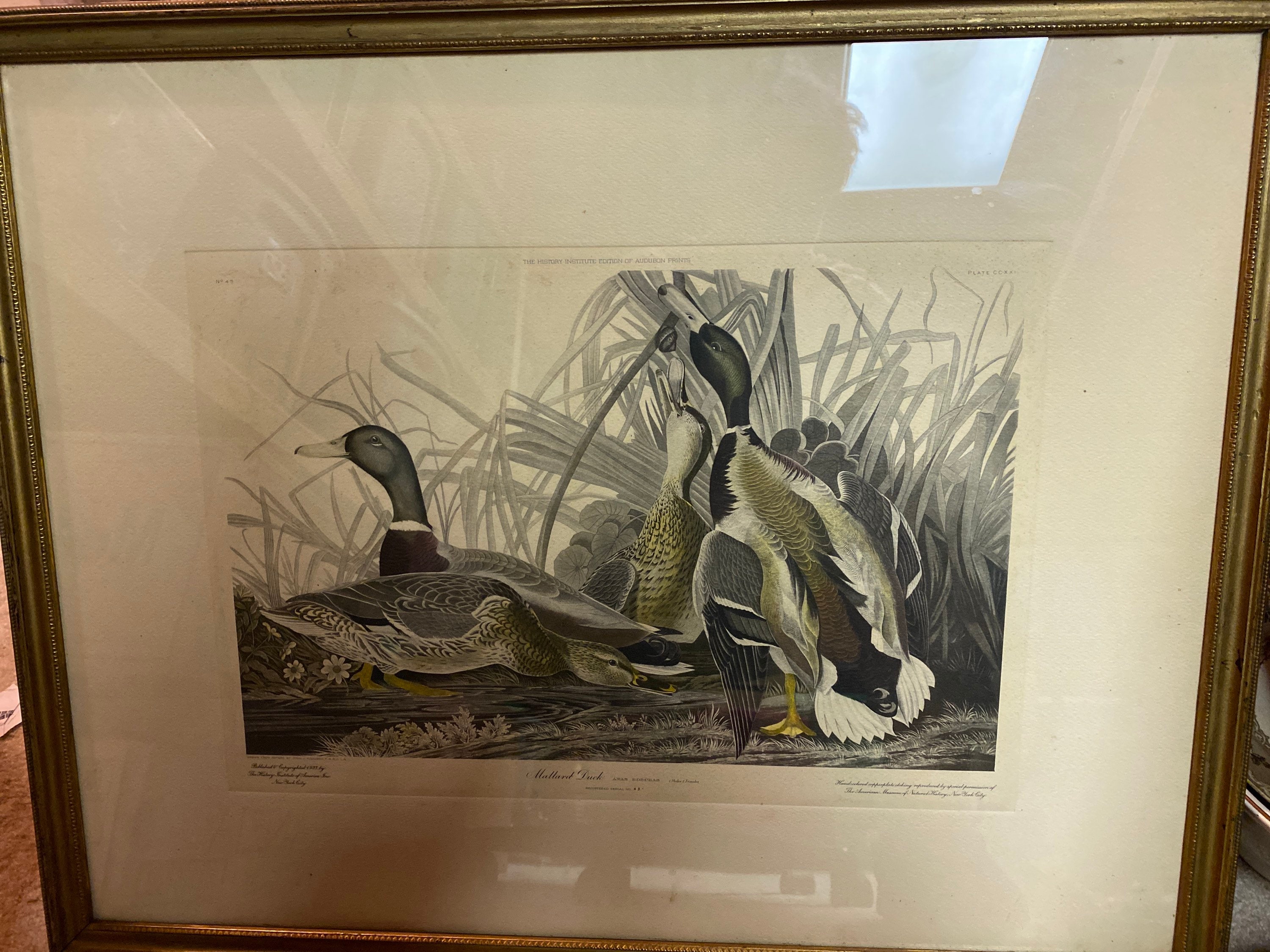 TOP 10 BEST Visitor Centers near Lisbon, NH - Updated 2026 - Yelp, image size:3000x2250