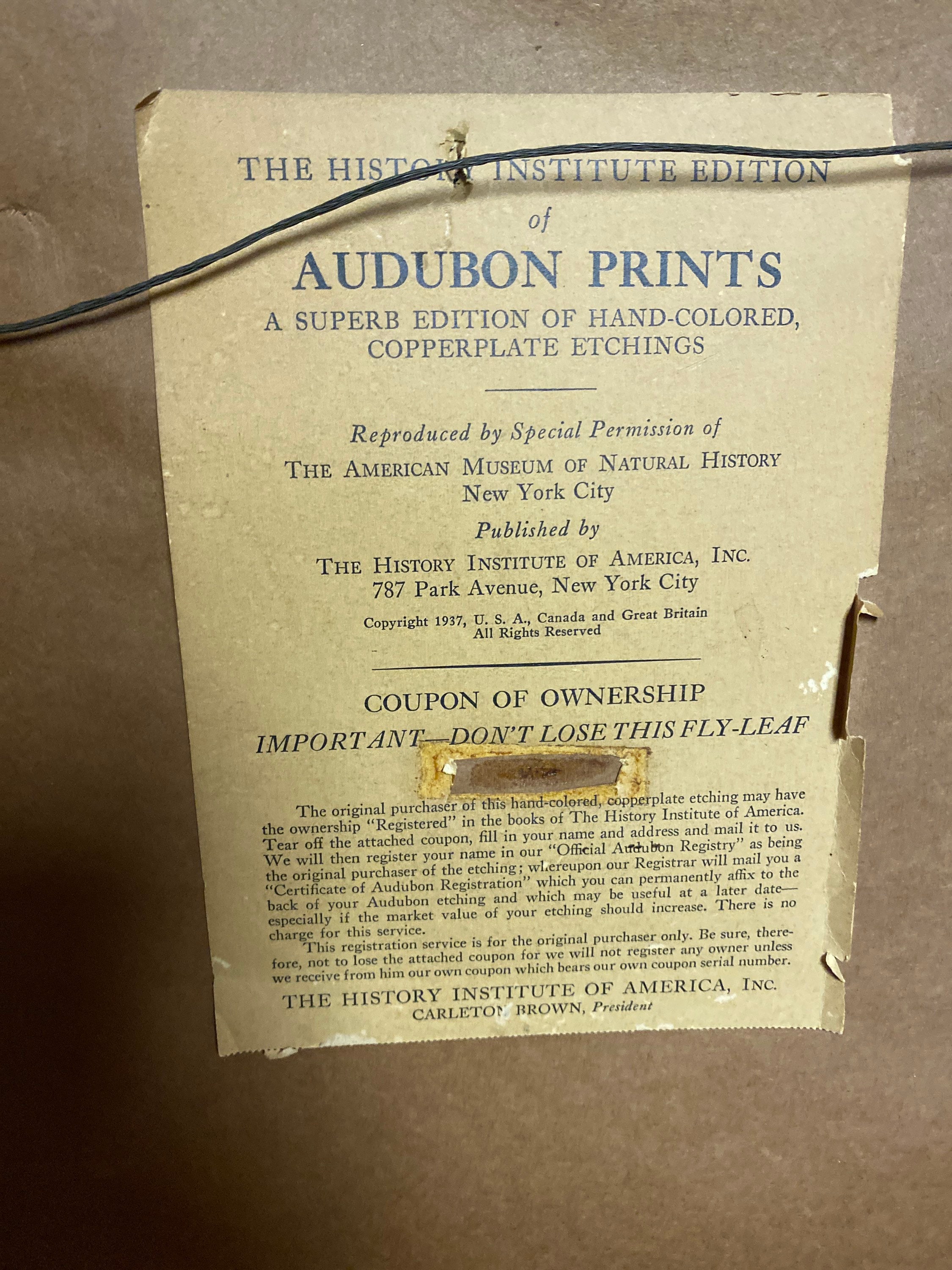 1937 Audubon Society Copperplate Etching - Etsy, image size:2250x3000