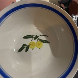 Ceramic bowl with lemon design