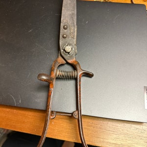 Old pair of gardening shears