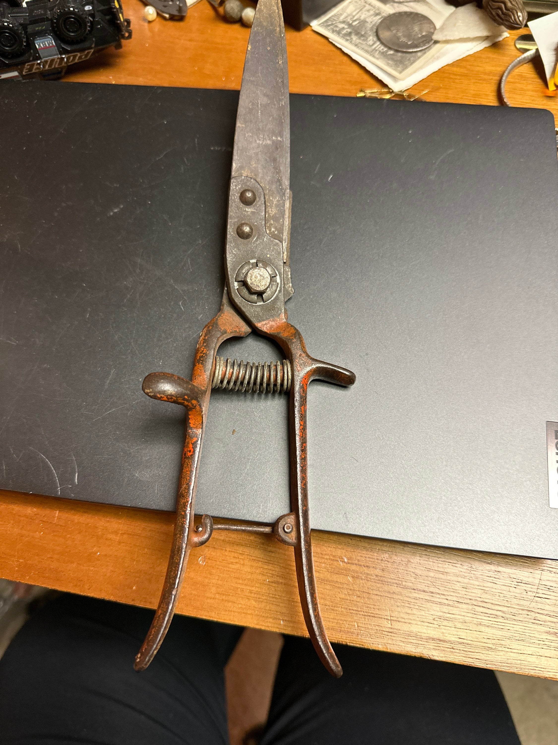 アンティーク調　クッキング用型抜き（英国Garden Trading社） Old Pair of Gardening Shears - Etsy