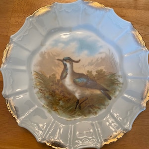 Collectible game bird porcelain plate