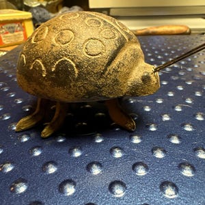May include: A cast iron ladybug figurine with black spots and a brown patina. The ladybug has six legs and a long antenna. The figurine is sitting on a blue surface with a textured pattern.