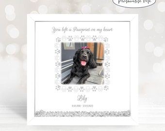 Personalised Pet Memorial Photo Frame: Floating Crystal Remembrance Gift