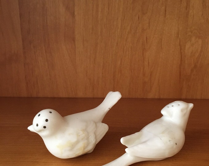 Lenox Birds Salt /& Pepper Shaker Set in White