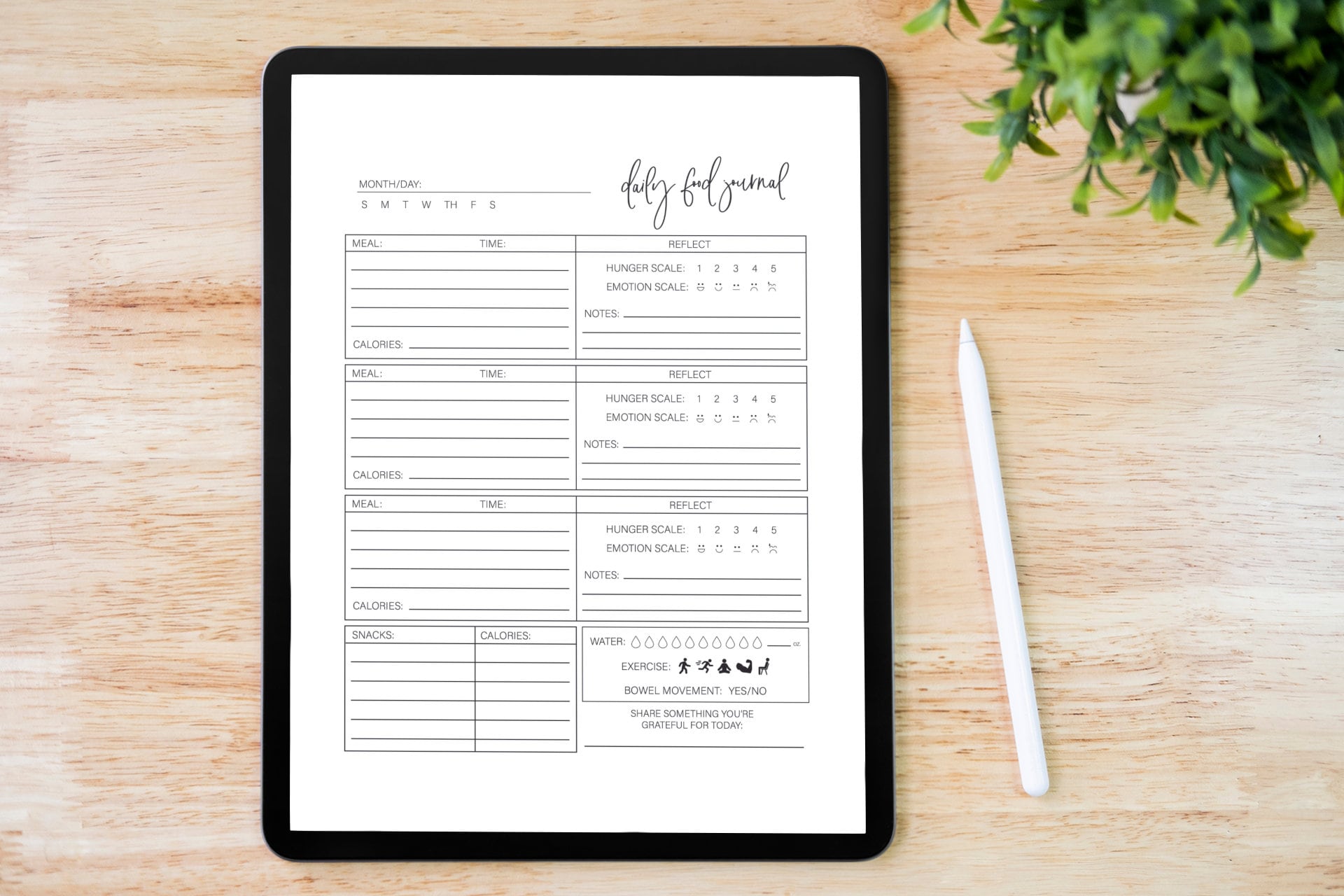 Mindful Eating Journal Printable, Intuitive Eating Journal, Daily Food ...