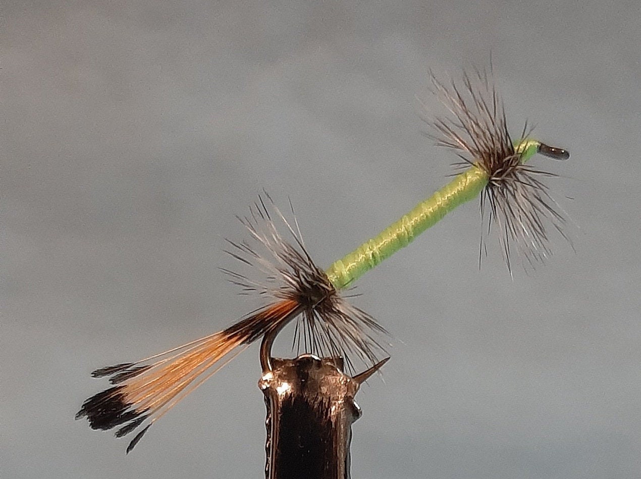 Trout Wet Fly 58 Variety of Styles Available Etsy UK