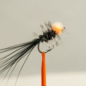 Trout Wet Fly 48: Variety of Styles Available