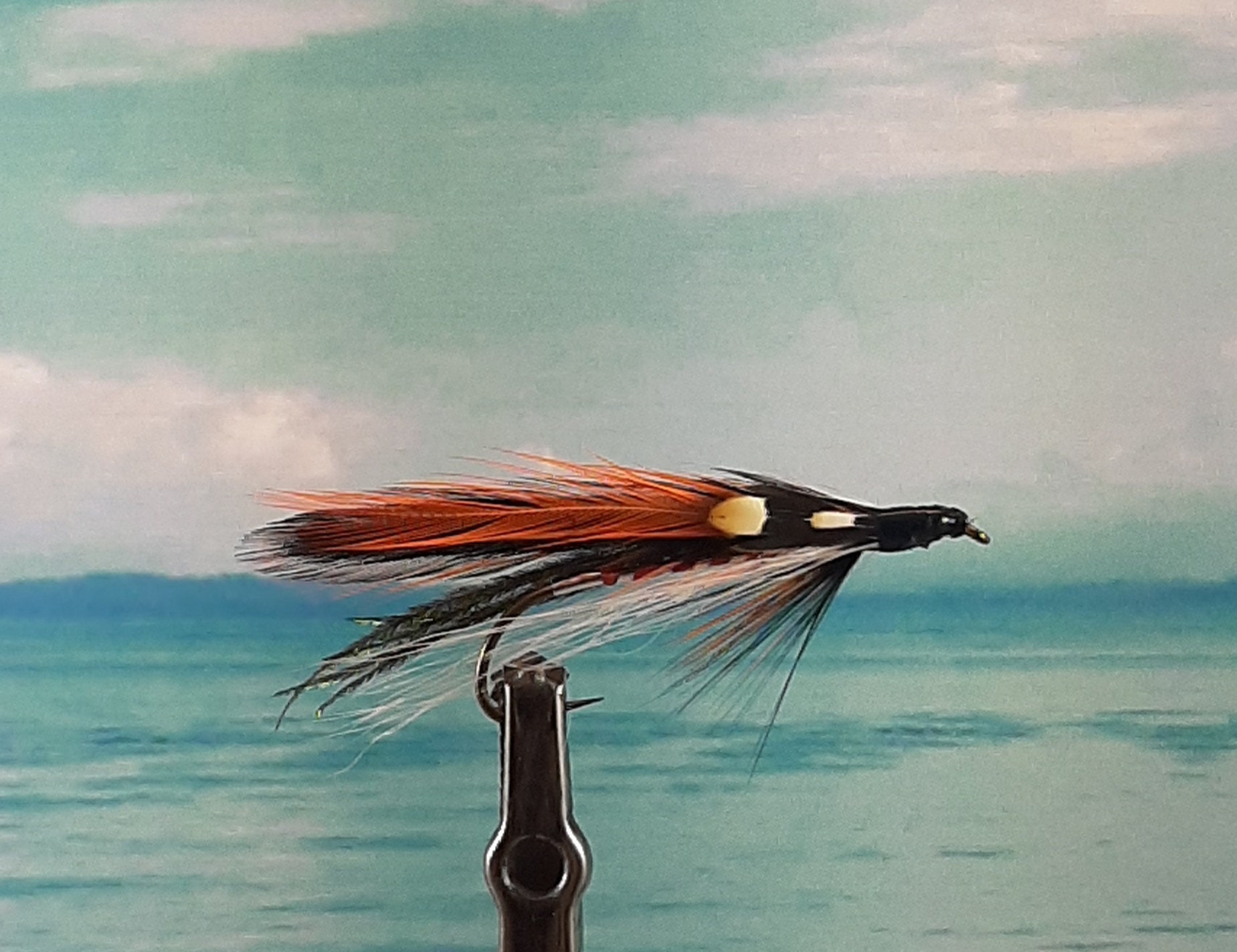 Trout/Salmon Streamer 15: Variety of Styles Available