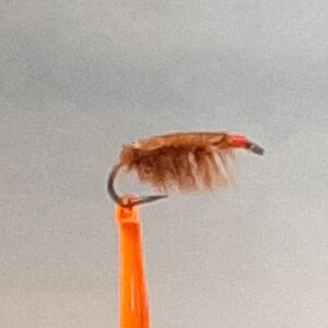 Trout Wet Fly 46: Variety of Styles Available