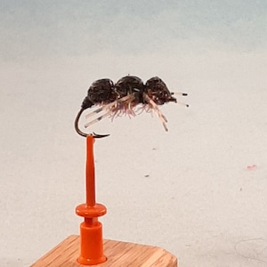 Large Foam Beetle: Bass/Panfish-Variety of Styles Available
