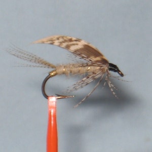 Trout Wet Fly 41: Variety of Styles Available